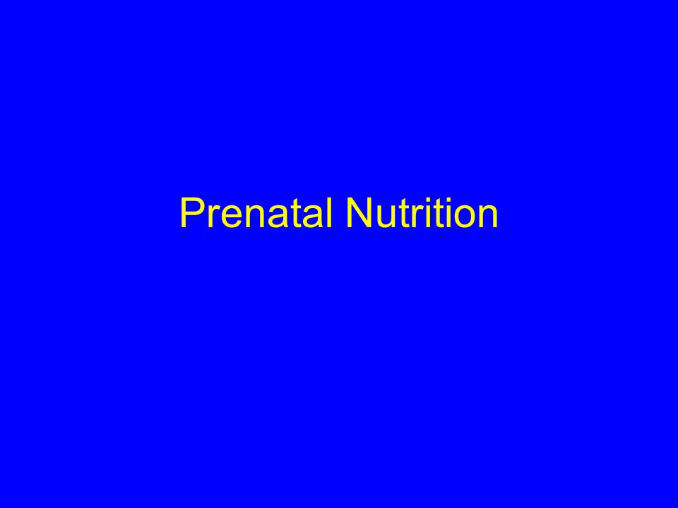 Prenatal Nutrition