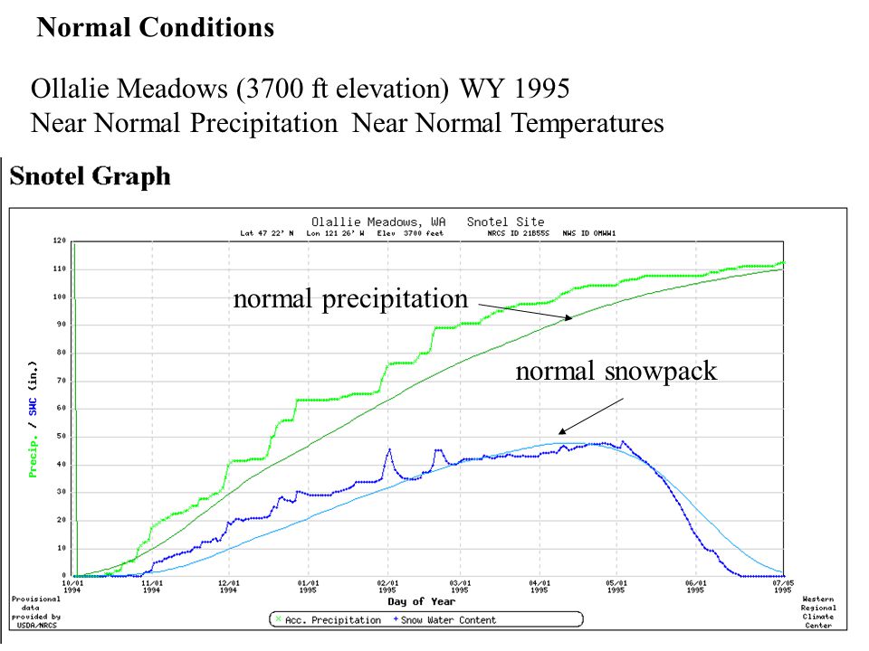 Ollalie Meadows (3700 ft elevation) WY 1995 Near Normal Precipitation Near Normal Temperatures normal precipitation normal snowpack Normal Conditions