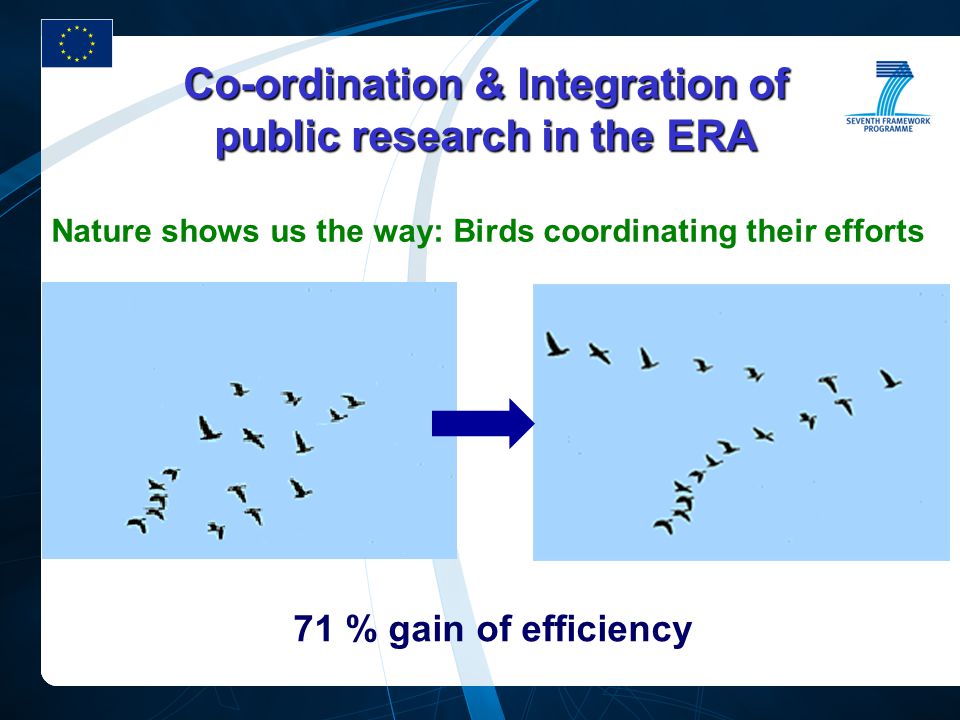 Co-ordination & Integration of public research in the ERA Nature shows us the way: Birds coordinating their efforts 71 % gain of efficiency