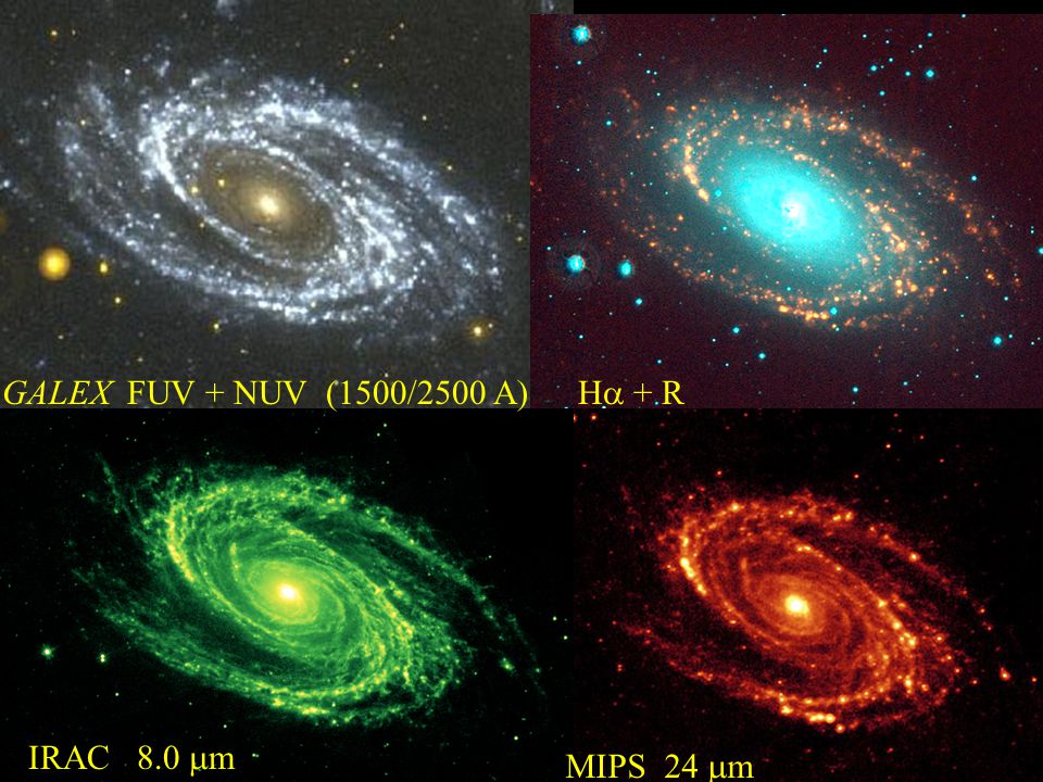 Calzetti et al Kennicutt & Moustakas 2007 HII regions galaxies (integrated fluxes)
