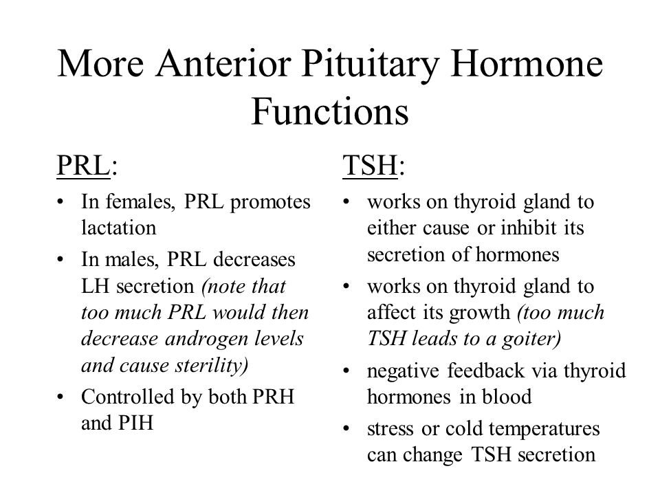 More Anterior Pituitary Hormone Functions PRL: In females, PRL promotes lactation In males, PRL decreases LH secretion (note that too much PRL would then decrease androgen levels and cause sterility) Controlled by both PRH and PIH TSH: works on thyroid gland to either cause or inhibit its secretion of hormones works on thyroid gland to affect its growth (too much TSH leads to a goiter) negative feedback via thyroid hormones in blood stress or cold temperatures can change TSH secretion