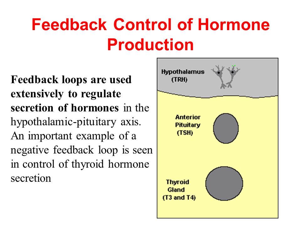Feedback Control of Hormone Production Feedback loops are used extensively to regulate secretion of hormones in the hypothalamic-pituitary axis.