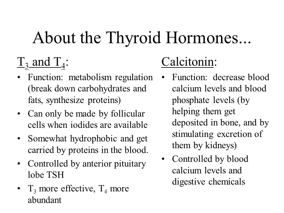 About the Thyroid Hormones...