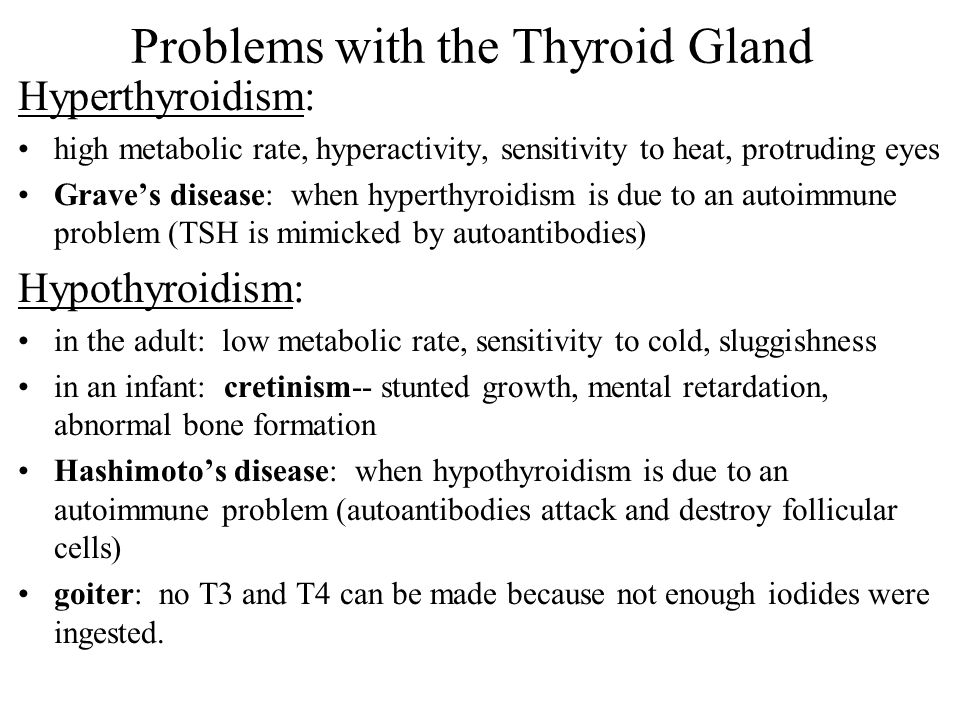 Problems with the Thyroid Gland Hyperthyroidism: high metabolic rate, hyperactivity, sensitivity to heat, protruding eyes Grave’s disease: when hyperthyroidism is due to an autoimmune problem (TSH is mimicked by autoantibodies) Hypothyroidism: in the adult: low metabolic rate, sensitivity to cold, sluggishness in an infant: cretinism-- stunted growth, mental retardation, abnormal bone formation Hashimoto’s disease: when hypothyroidism is due to an autoimmune problem (autoantibodies attack and destroy follicular cells) goiter: no T3 and T4 can be made because not enough iodides were ingested.