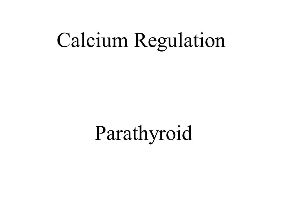 Calcium Regulation Parathyroid