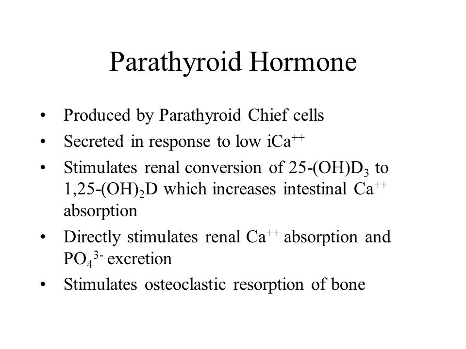 Parathyroid Hormone Produced by Parathyroid Chief cells Secreted in response to low iCa ++ Stimulates renal conversion of 25-(OH)D 3 to 1,25-(OH) 2 D which increases intestinal Ca ++ absorption Directly stimulates renal Ca ++ absorption and PO 4 3- excretion Stimulates osteoclastic resorption of bone
