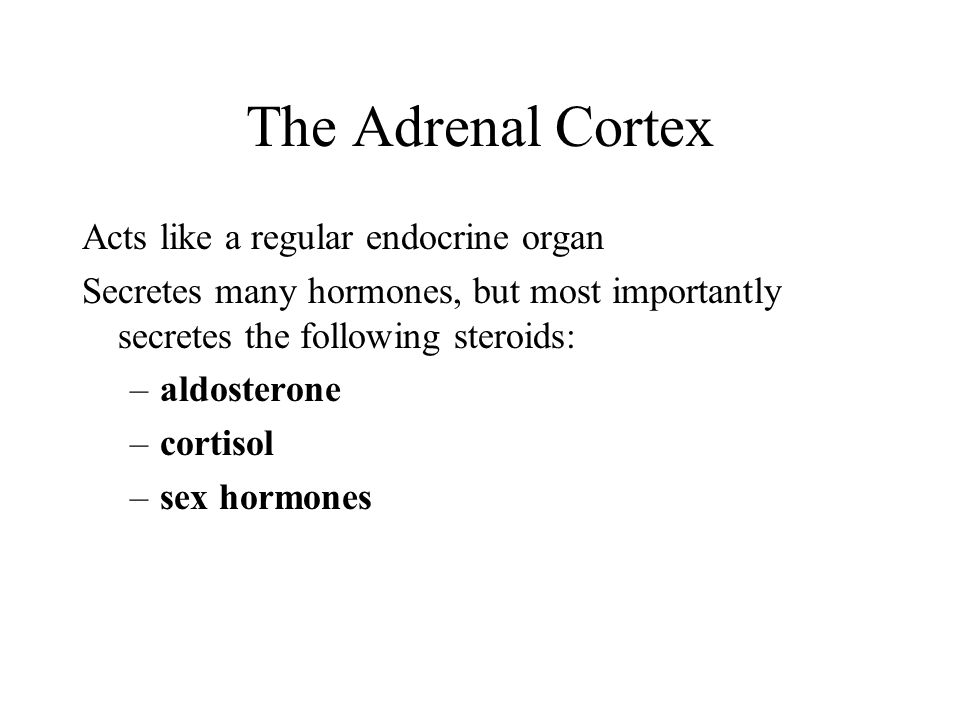 The Adrenal Cortex Acts like a regular endocrine organ Secretes many hormones, but most importantly secretes the following steroids: –aldosterone –cortisol –sex hormones