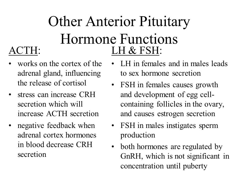 Other Anterior Pituitary Hormone Functions ACTH: works on the cortex of the adrenal gland, influencing the release of cortisol stress can increase CRH secretion which will increase ACTH secretion negative feedback when adrenal cortex hormones in blood decrease CRH secretion LH & FSH: LH in females and in males leads to sex hormone secretion FSH in females causes growth and development of egg cell- containing follicles in the ovary, and causes estrogen secretion FSH in males instigates sperm production both hormones are regulated by GnRH, which is not significant in concentration until puberty