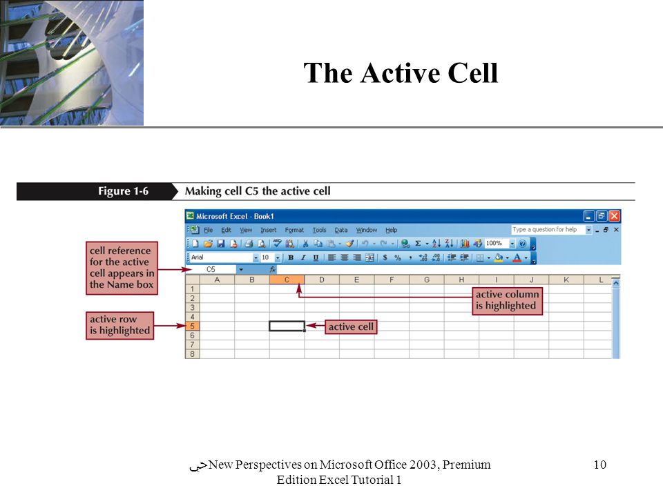 XP 10 ﴀ New Perspectives on Microsoft Office 2003, Premium Edition Excel Tutorial 1 The Active Cell