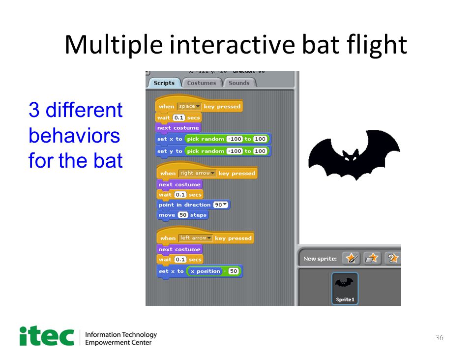 36 Multiple interactive bat flight 3 different behaviors for the bat