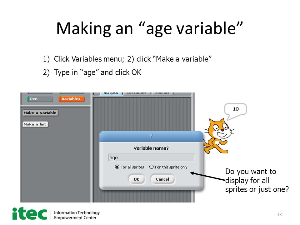 48 Making an age variable 1)Click Variables menu; 2) click Make a variable 2)Type in age and click OK Do you want to display for all sprites or just one