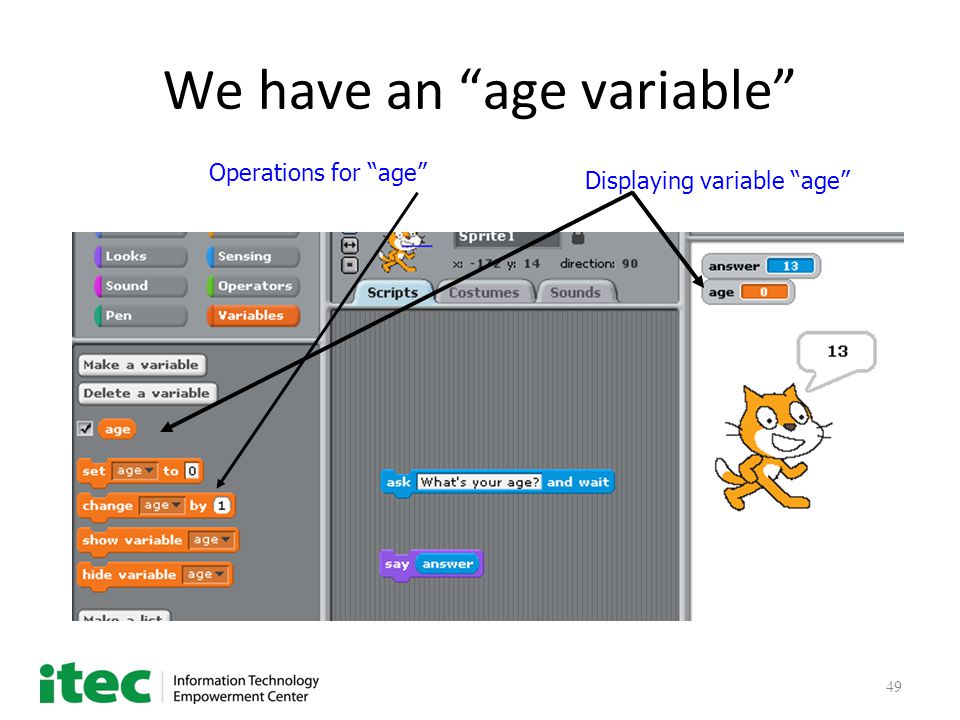 49 We have an age variable Displaying variable age Operations for age