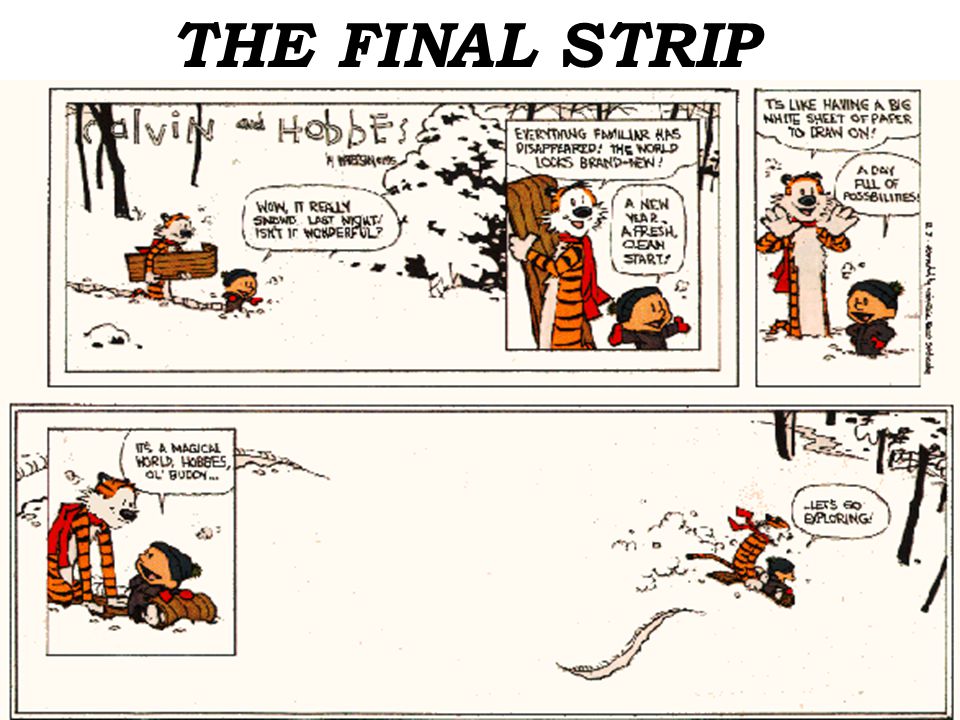 THE FINAL STRIP