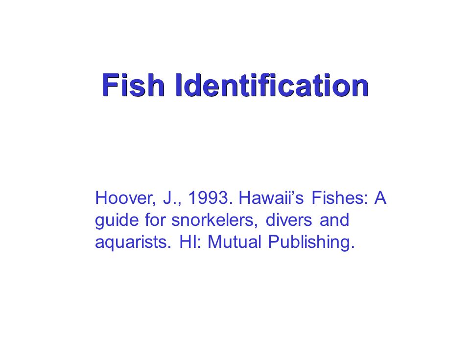 Fish Identification Hoover, J., 1993.
