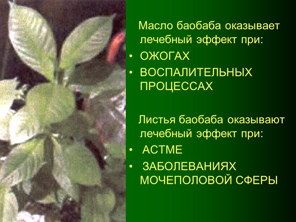 Примеры музыкальных произведений оказывающих лечебный эффект Картинки ПРИЗНАКИ МУЗЫКАЛЬНЫХ ПРОИЗВЕДЕНИЙ