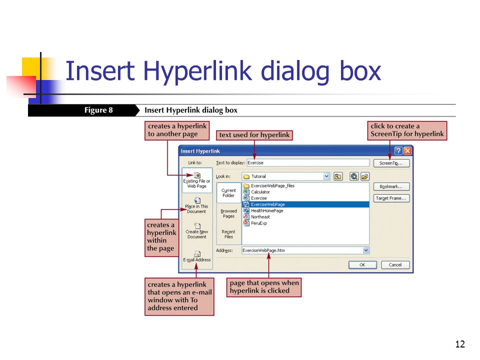 12 Insert Hyperlink dialog box