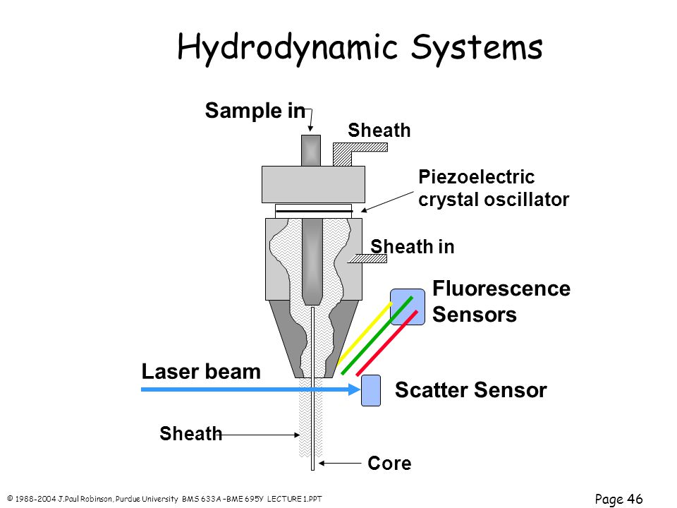 © J.Paul Robinson, Purdue University BMS 633A –BME 695Y LECTURE 1.PPT Page 46 Hydrodynamic Systems Sample in Sheath Sheath in Laser beam Piezoelectric crystal oscillator Fluorescence Sensors Scatter Sensor Core Sheath