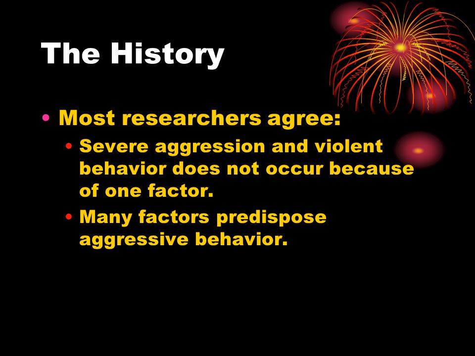 The History Most researchers agree: Severe aggression and violent behavior does not occur because of one factor.