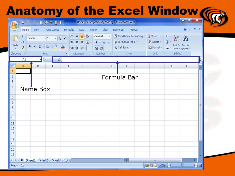 Lecture Excel Basics Review Anatomy Of The Excel Window Name Box Formula Bar Ppt Download Lecture Excel Basics Review Anatomy Of The Excel Window Name Box Formula Bar Ppt Download