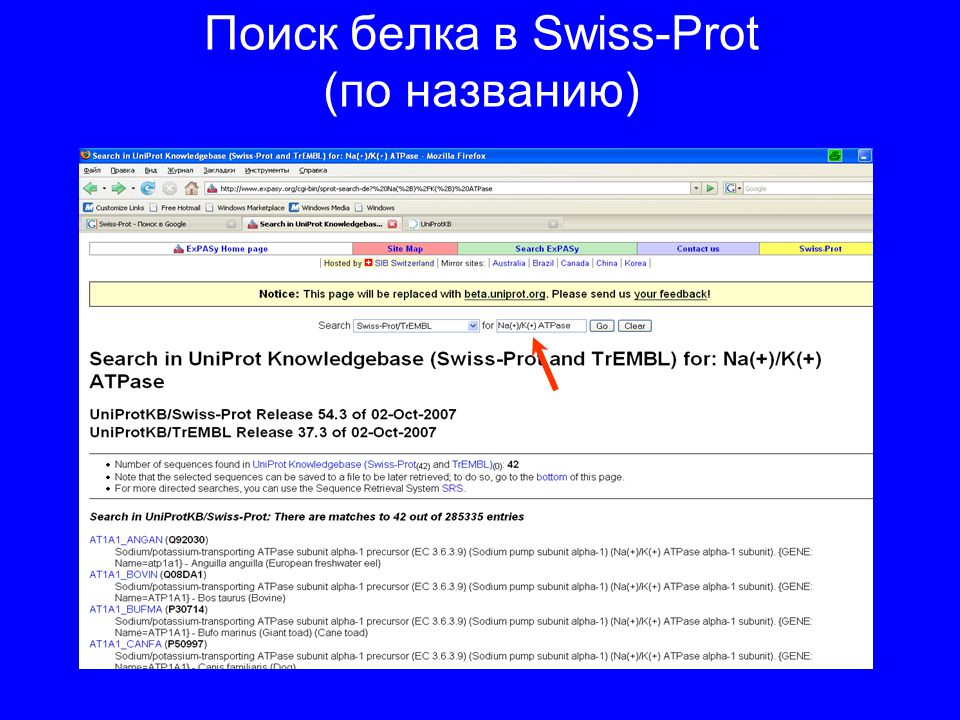 Поиск по названию. Swiss-prot база данных. Базы данных белковых последовательностей. UNIPROTKB/Swiss-prot. Белковая база данных UNIPROT.