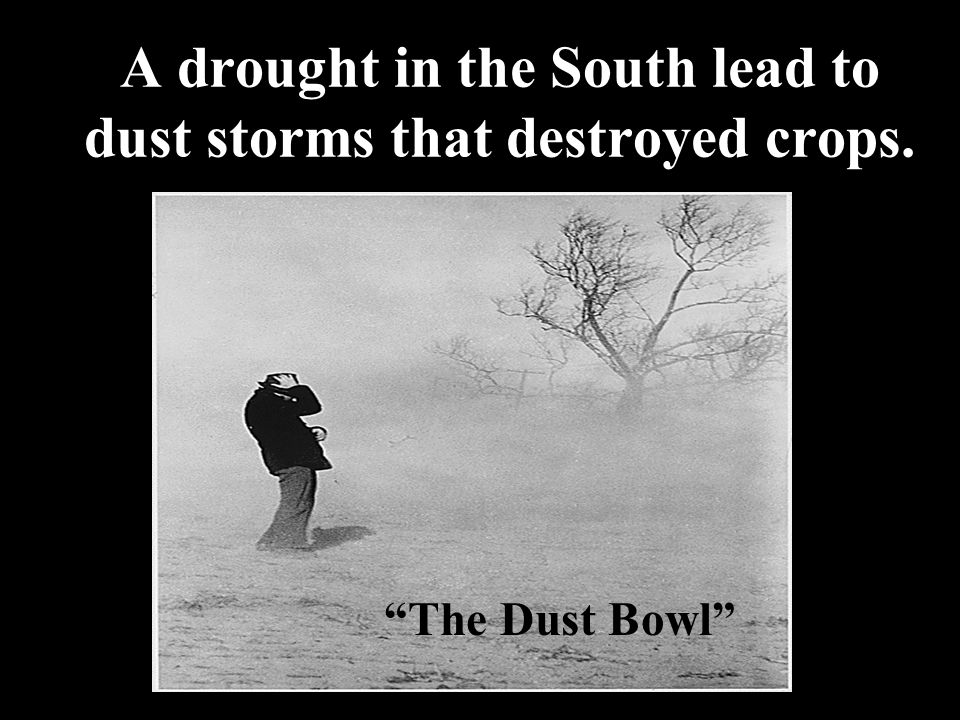 A drought in the South lead to dust storms that destroyed crops. The Dust Bowl