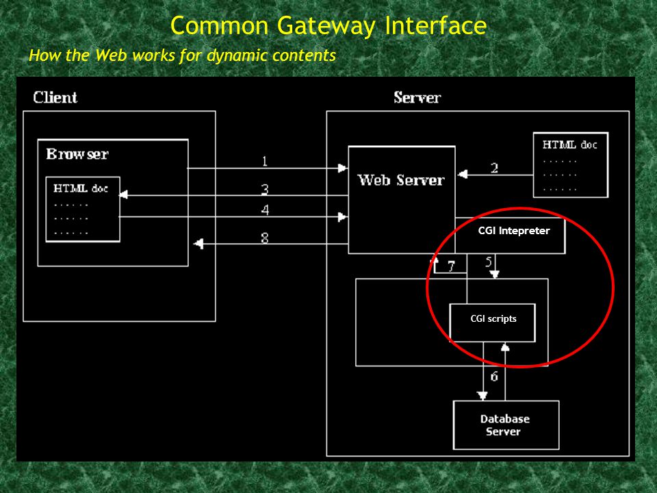 How the Web works for dynamic contents CGI Intepreter CGI scripts Common Gateway Interface
