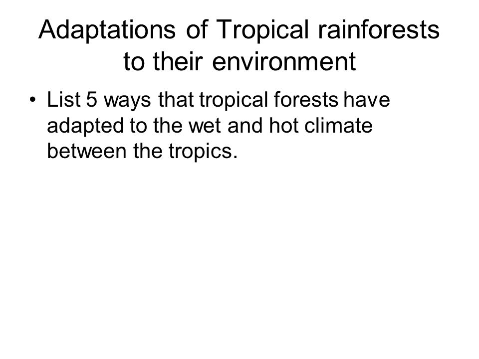 Adaptations of Tropical rainforests to their environment List 5 ways that tropical forests have adapted to the wet and hot climate between the tropics.