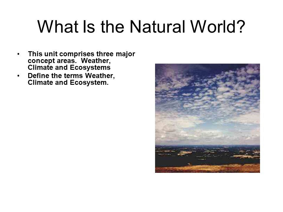 What Is the Natural World. This unit comprises three major concept areas.