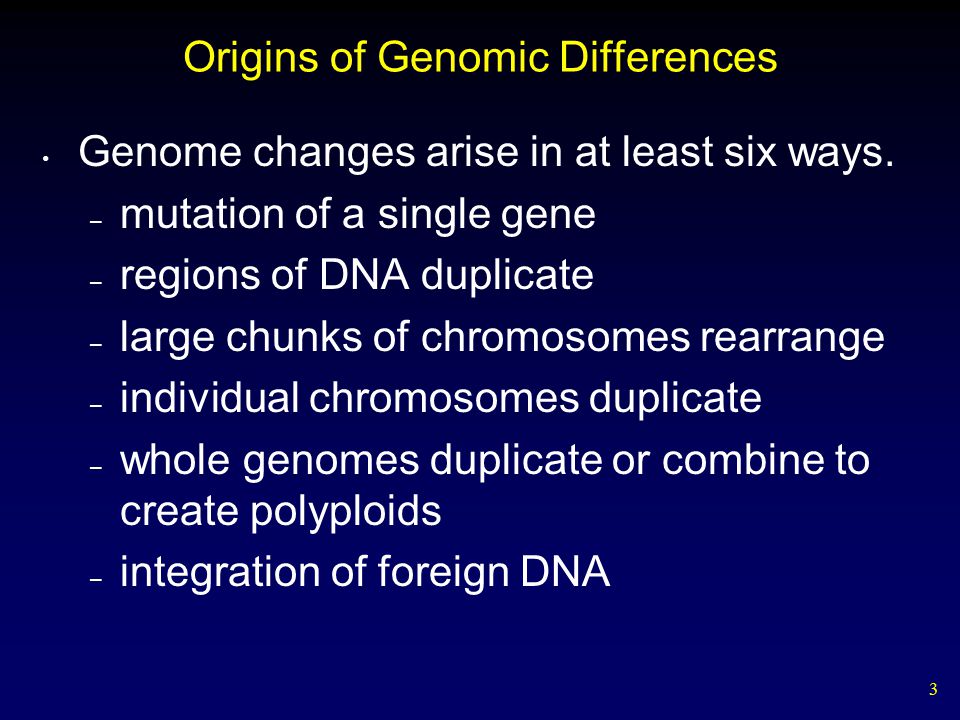 3 Origins of Genomic Differences Genome changes arise in at least six ways.