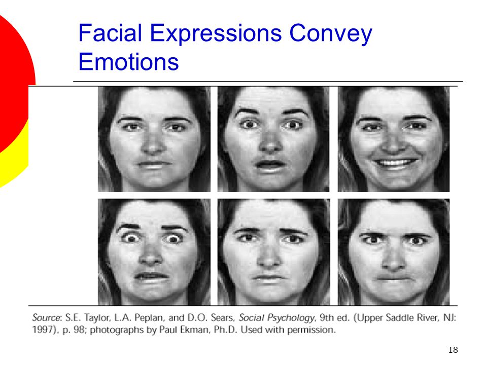 18 Facial Expressions Convey Emotions