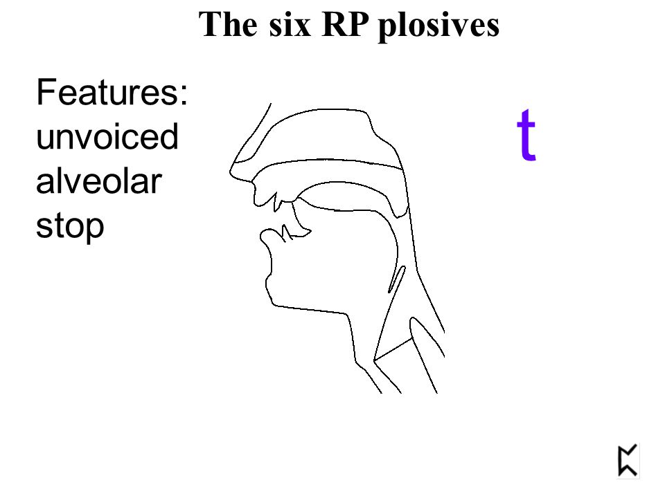 Features: unvoiced alveolar stop t The six RP plosives