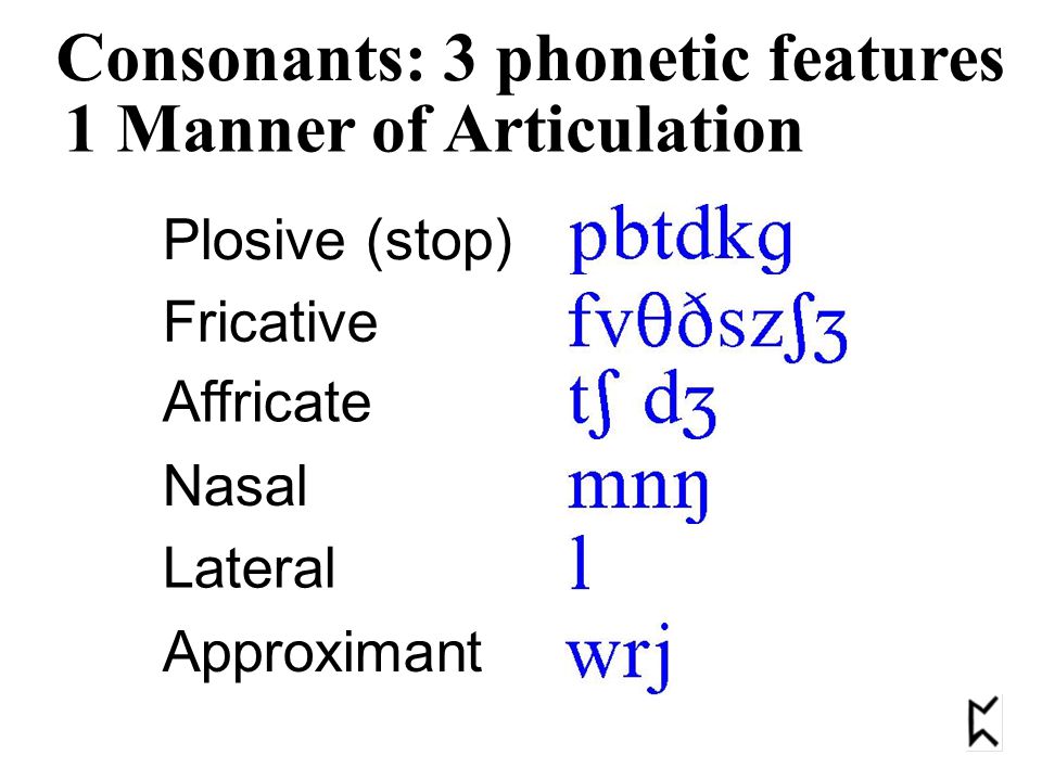 Plosive (stop) Fricative Affricate Nasal Lateral Approximant 1 Manner of Articulation Consonants: 3 phonetic features