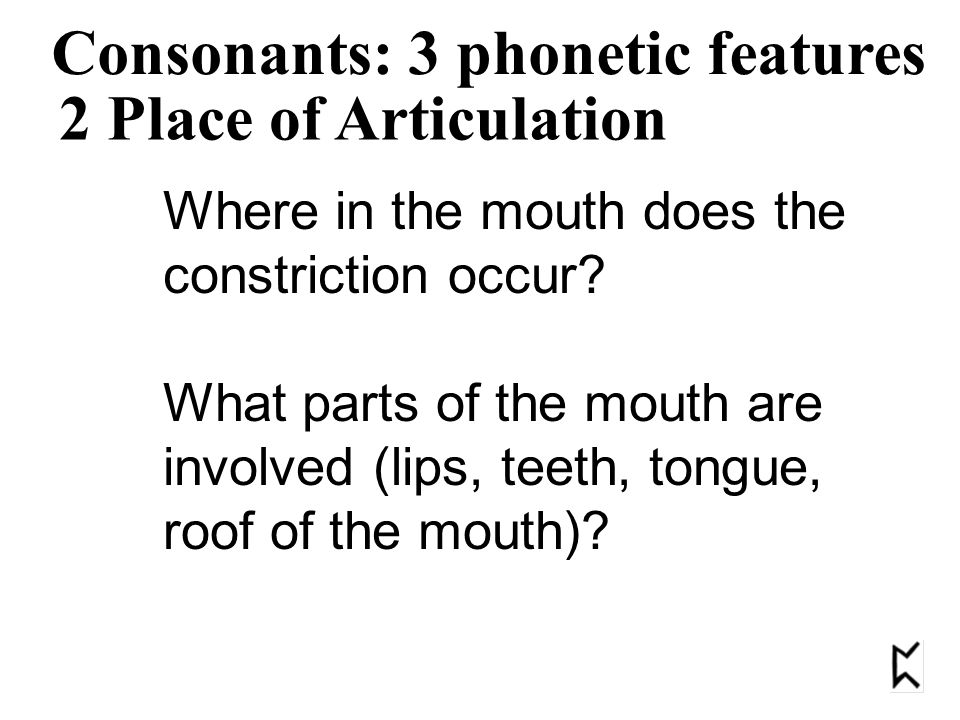 2 Place of Articulation Consonants: 3 phonetic features Where in the mouth does the constriction occur.