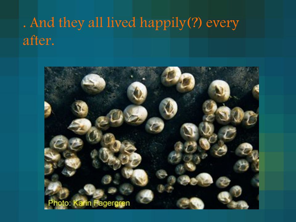 . And they all lived happily( ) every after.
