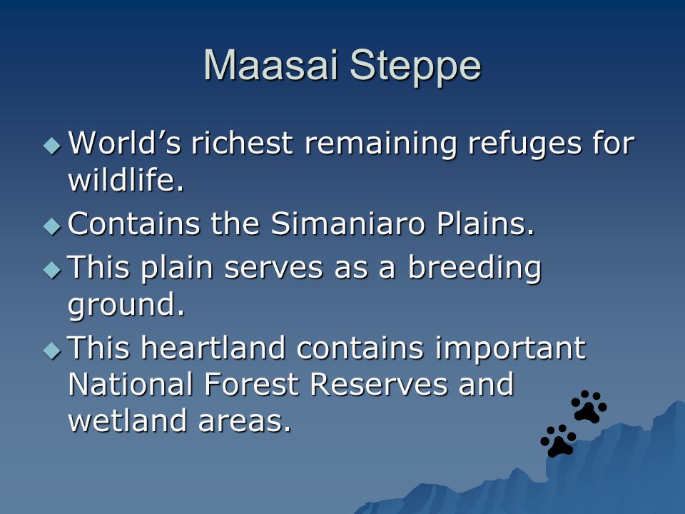Maasai Steppe  World’s richest remaining refuges for wildlife.