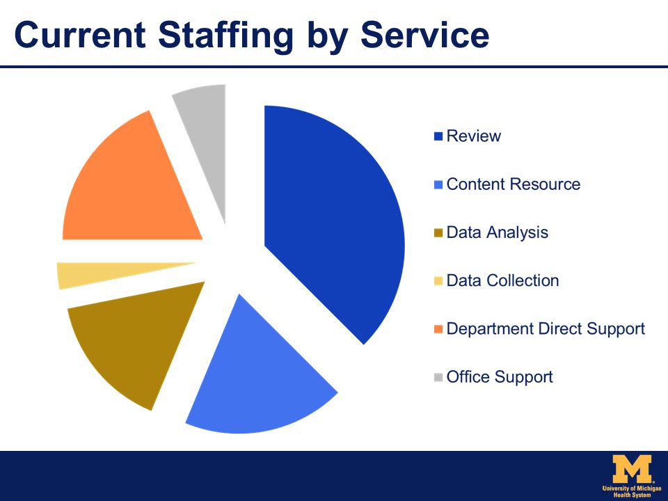 Current Staffing by Service