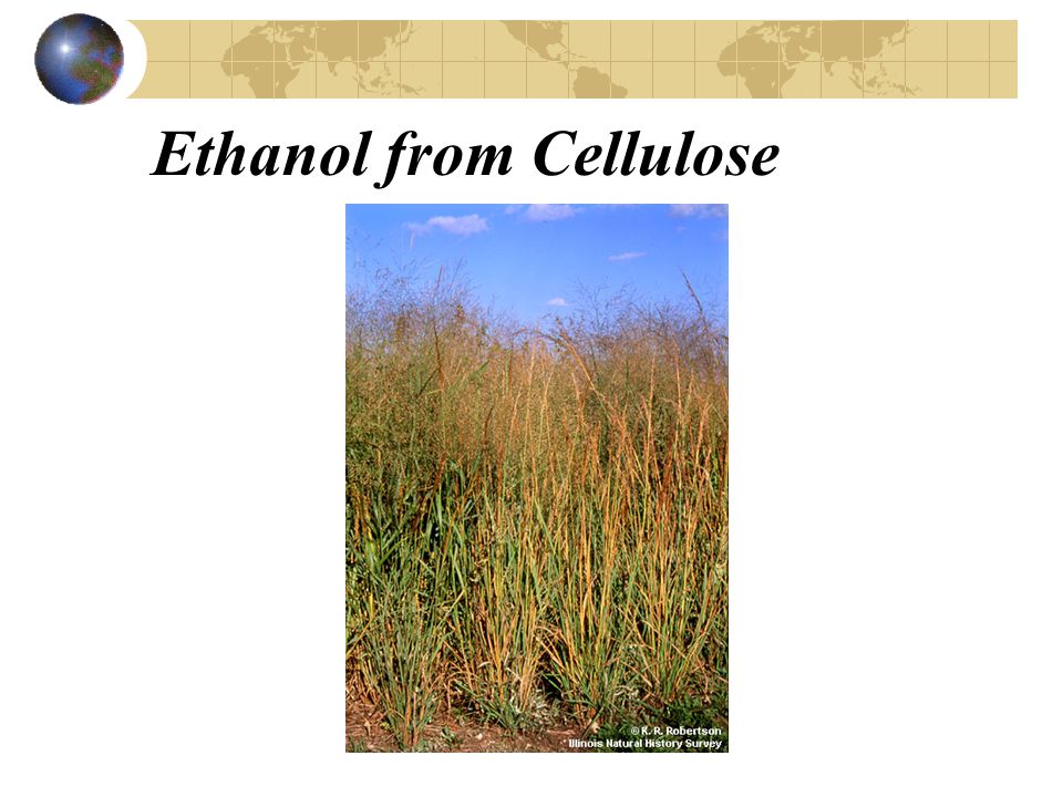 Ethanol from Cellulose