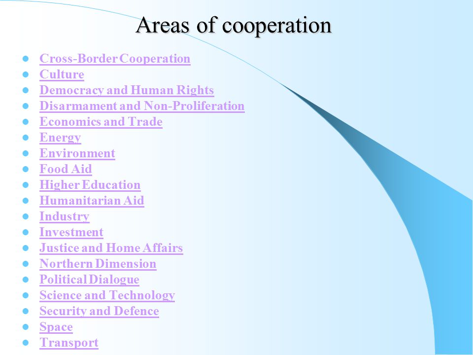 Areas of cooperation Cross-Border Cooperation Culture Democracy and Human Rights Disarmament and Non-Proliferation Economics and Trade Energy Environment Food Aid Higher Education Humanitarian Aid Industry Investment Justice and Home Affairs Northern Dimension Political Dialogue Science and Technology Security and Defence Space Transport