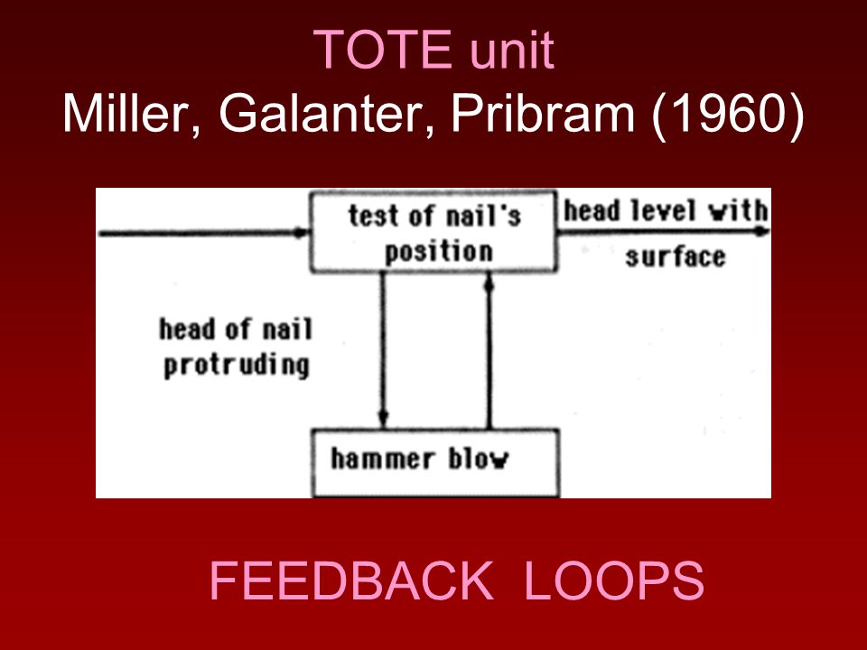 The Cognitive and Computational Self: From Cognitive Psychology to AI. - ppt download