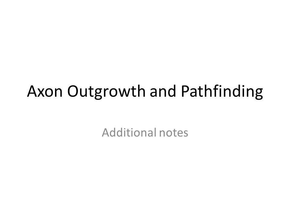 Axon Outgrowth and Pathfinding Additional notes