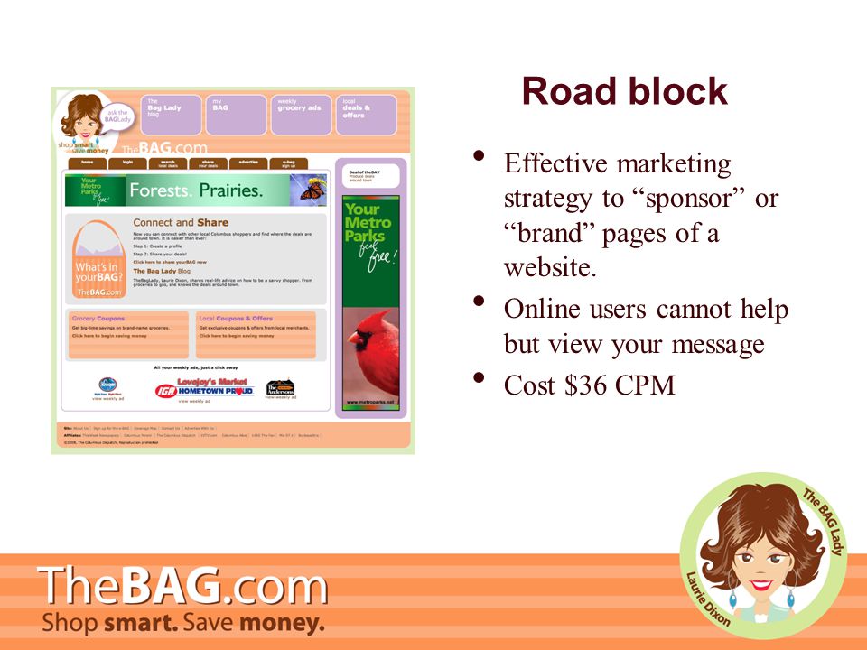 Road block Effective marketing strategy to sponsor or brand pages of a website.