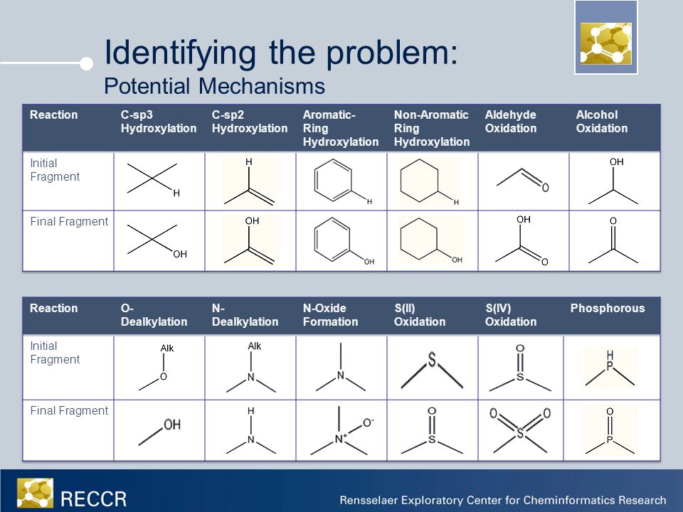 Identifying the problem: Potential Mechanisms