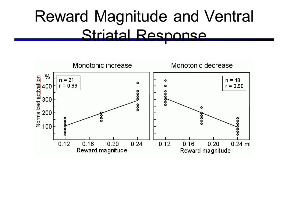Reward Magnitude and Ventral Striatal Response