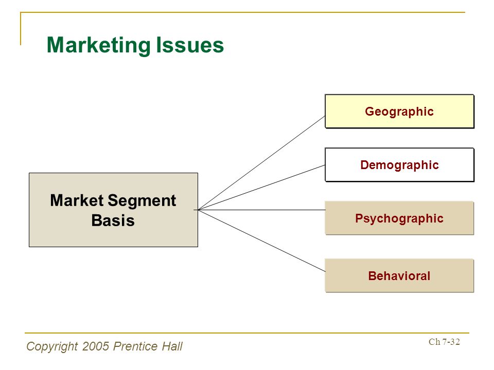 Copyright 2005 Prentice Hall Ch 7-32 Marketing Issues Market Segment Basis Psychographic Behavioral Geographic Demographic