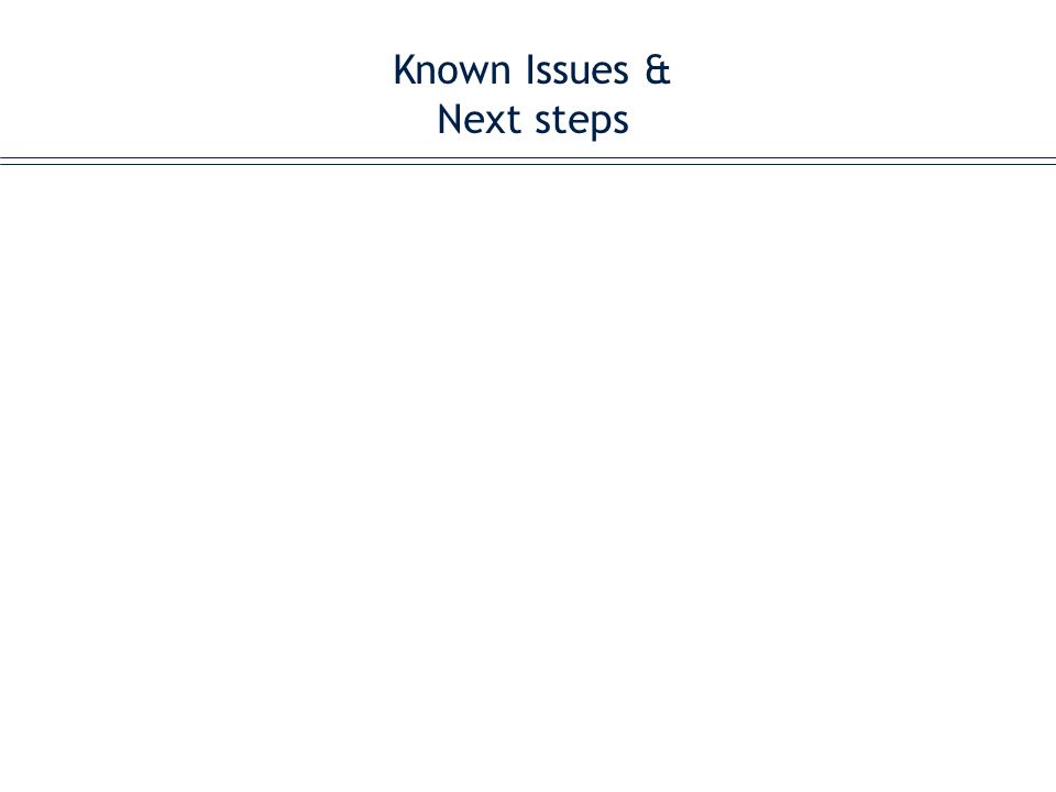 Known Issues & Next steps