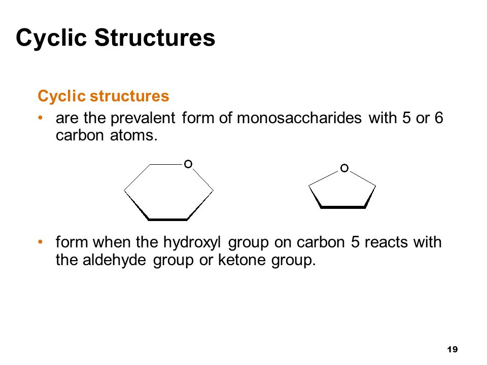 19 Cyclic Structures Cyclic structures are the prevalent form of monosaccharides with 5 or 6 carbon atoms.