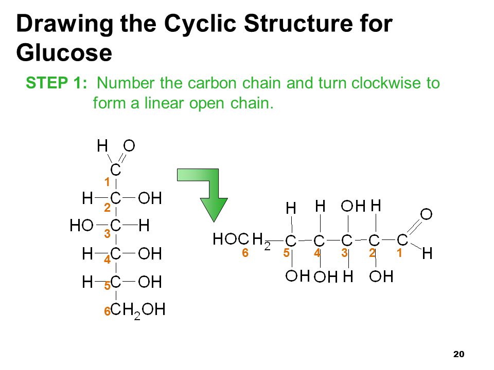 20 Drawing the Cyclic Structure for Glucose STEP 1: Number the carbon chain and turn clockwise to form a linear open chain.
