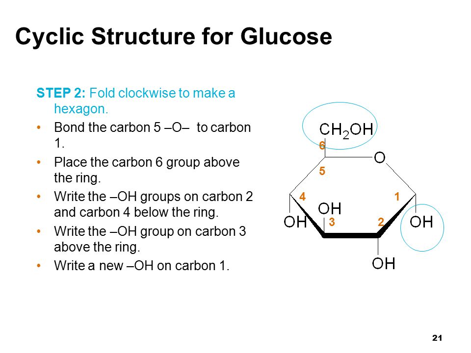 21 Cyclic Structure for Glucose STEP 2: Fold clockwise to make a hexagon.