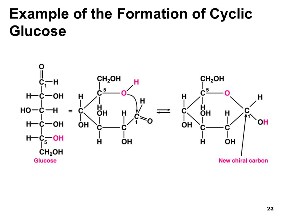 23 Example of the Formation of Cyclic Glucose