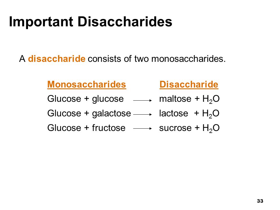 33 Important Disaccharides A disaccharide consists of two monosaccharides.